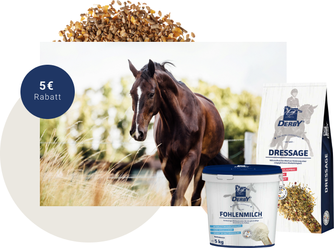 NL Banner Black Week